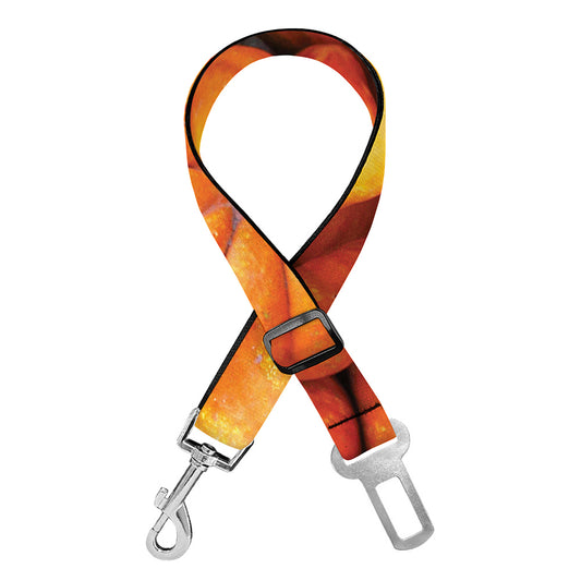 Pumpkin Print Dog Seat Belt