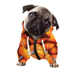 Pumpkin Print Dog Zip Up Hoodie