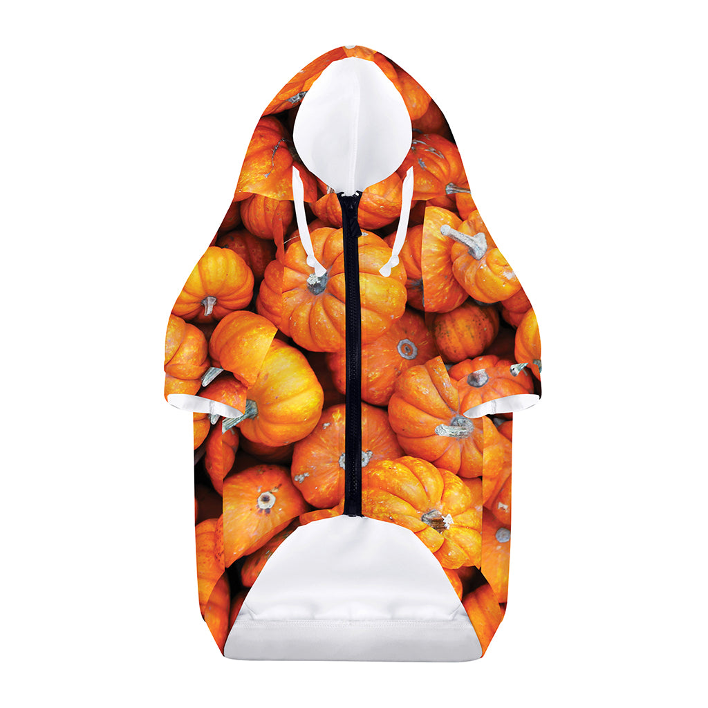 Pumpkin Print Dog Zip Up Hoodie