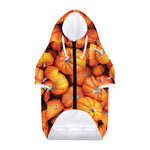 Pumpkin Print Dog Zip Up Hoodie
