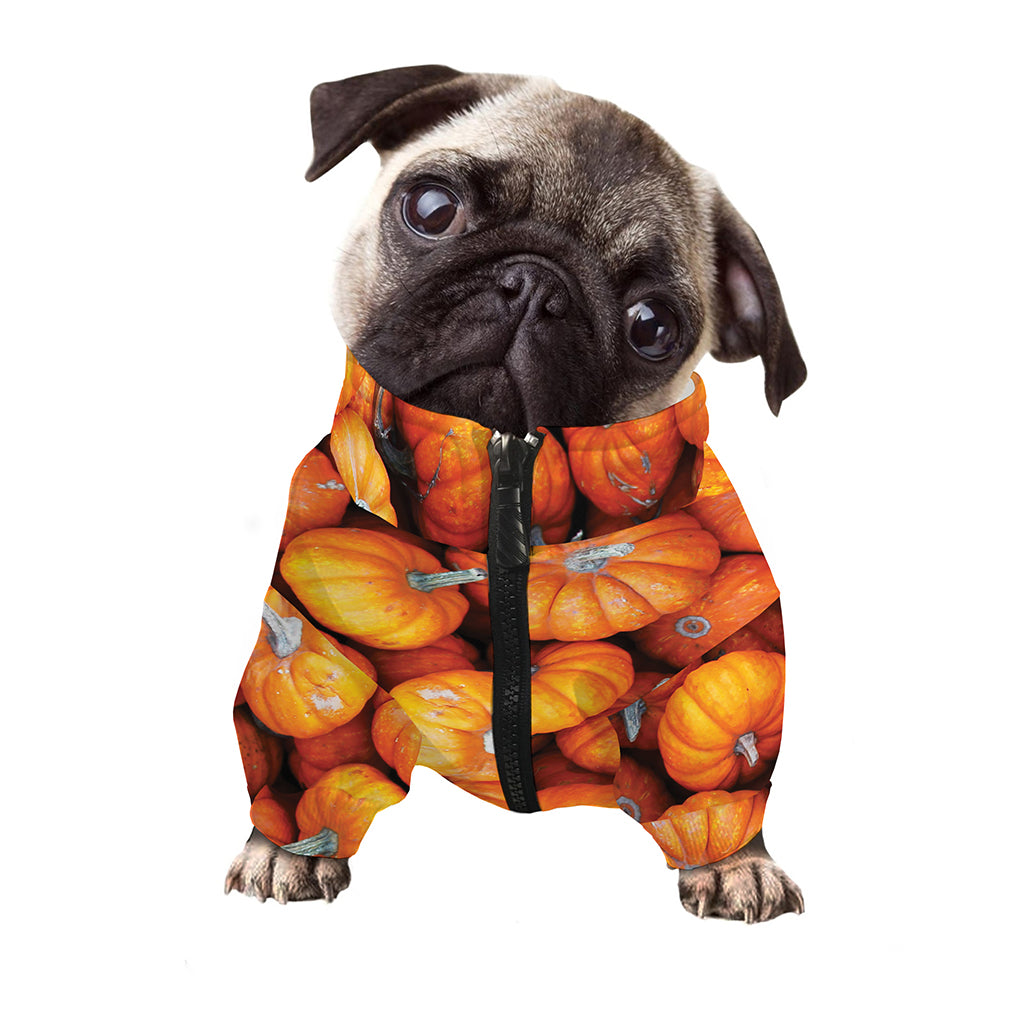 Pumpkin Print Dog Zip Up Jacket
