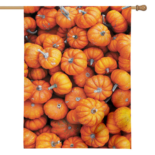 Pumpkin Print House Flag