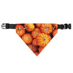 Pumpkin Print Over The Collar Dog Bandana