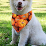 Pumpkin Print Over The Collar Dog Bandana