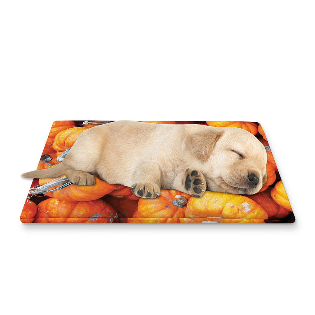 Pumpkin Print Pet Cooling Mat Cover