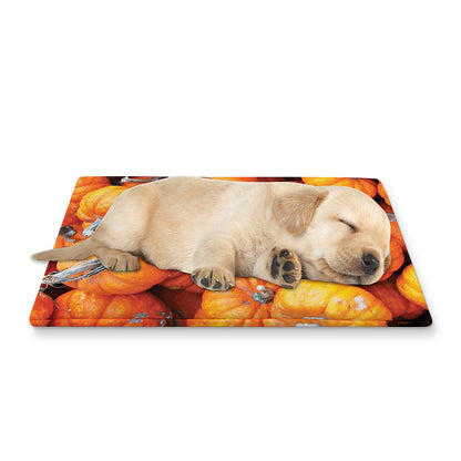 Pumpkin Print Pet Cooling Mat Cover