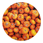 Pumpkin Print Round Blanket