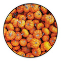 Pumpkin Print Round Floor Mat