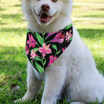 Purple Alstroemeria Pattern Print Over The Collar Dog Bandana