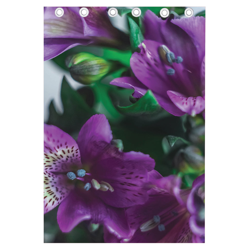 Purple Alstroemeria Print Curtain
