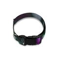 Purple Alstroemeria Print Dog Collar