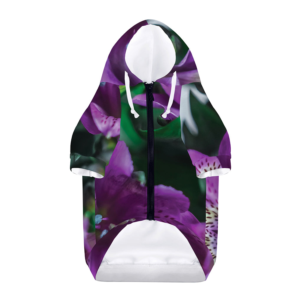 Purple Alstroemeria Print Dog Zip Up Hoodie
