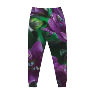 Purple Alstroemeria Print Jogger Pants