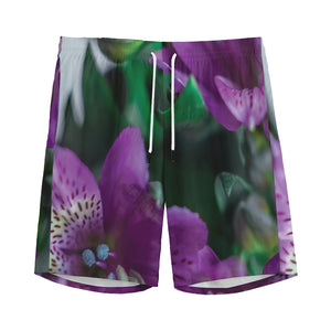 Purple Alstroemeria Print Men's Sports Shorts