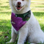 Purple Alstroemeria Print Over The Collar Dog Bandana