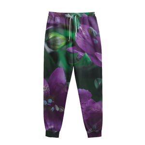 Purple Alstroemeria Print Sweatpants