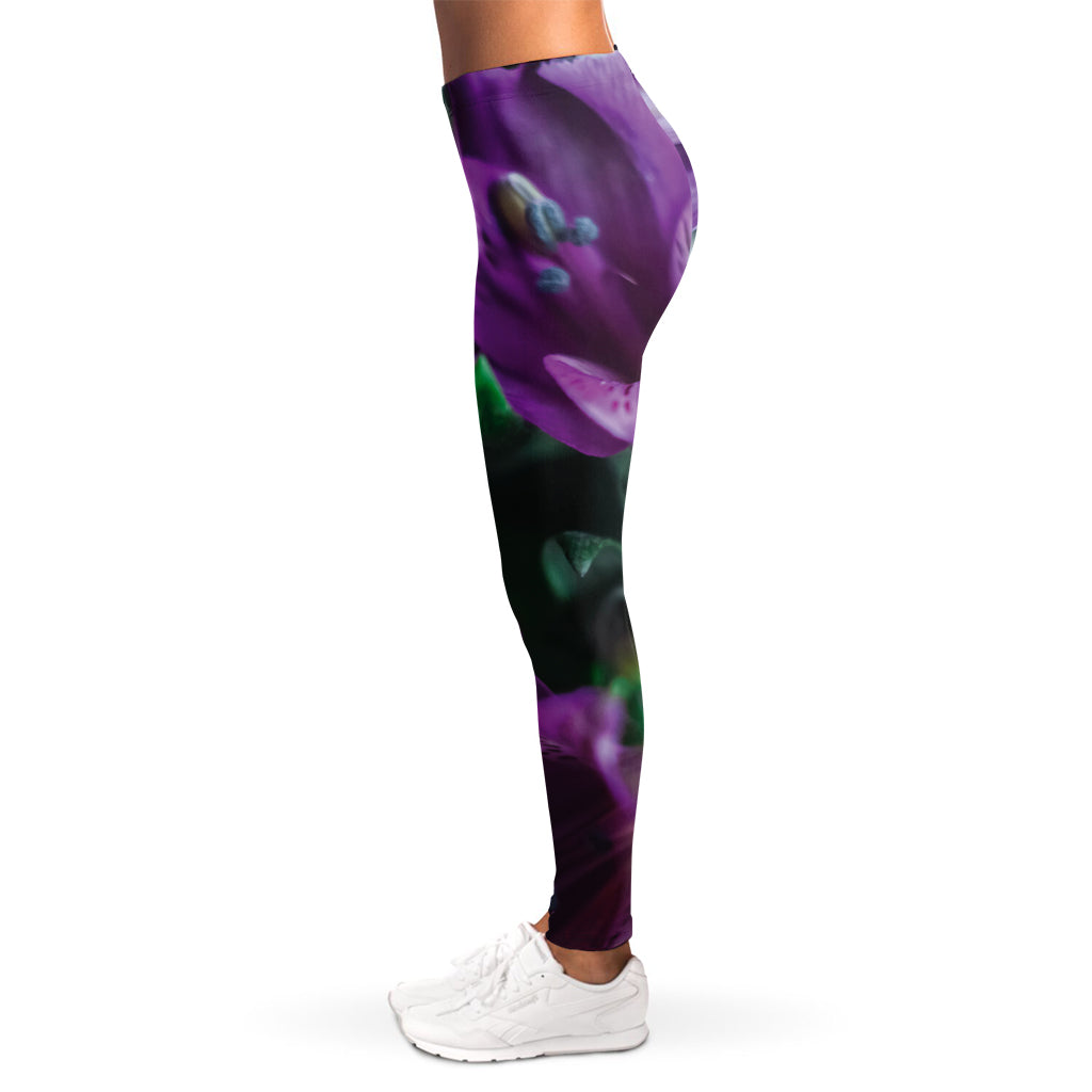 Purple Alstroemeria Print Women's Leggings