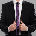 Purple And Black Checkered Pattern Print Necktie