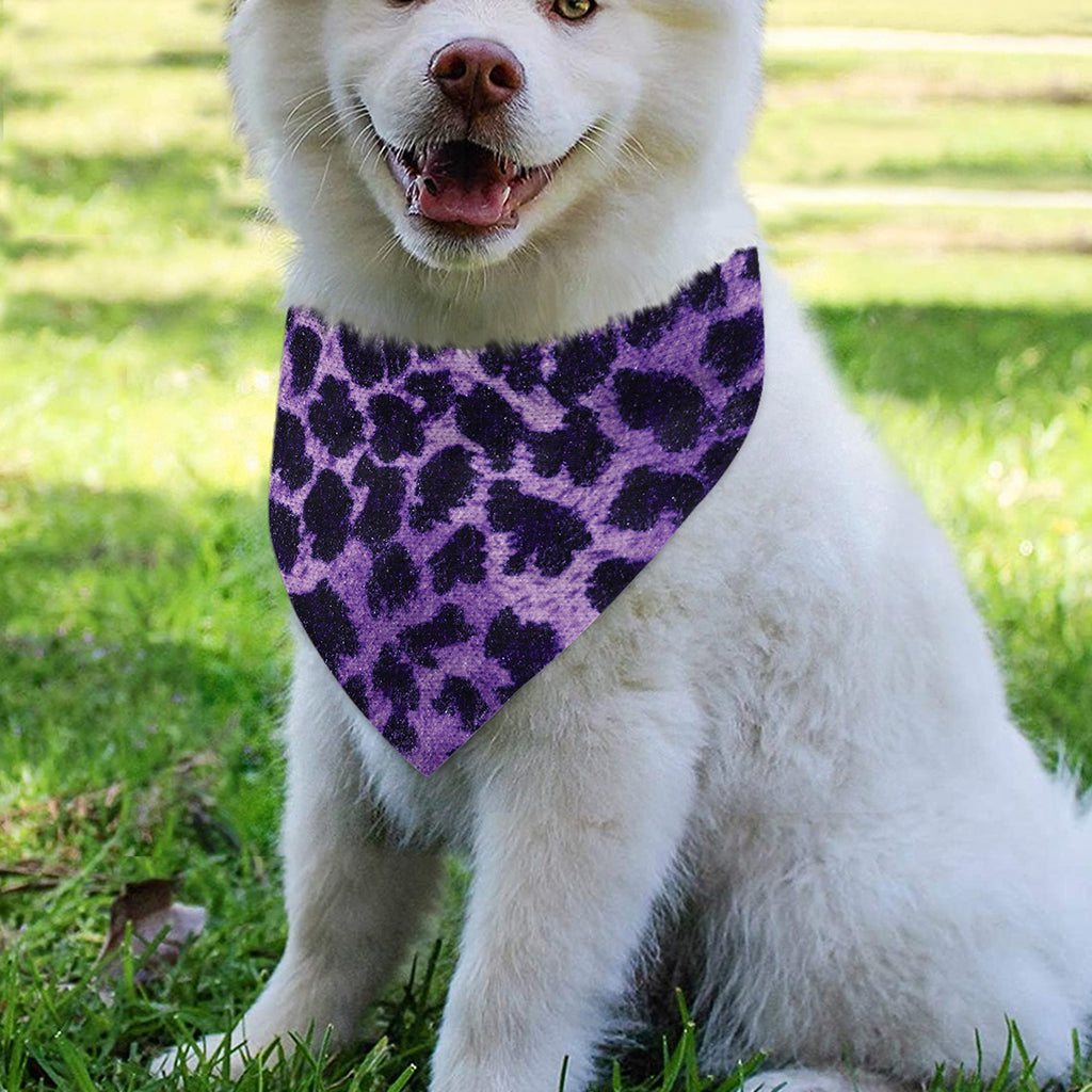 Purple And Black Cheetah Print Over The Collar Dog Bandana