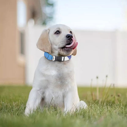 Purple And Blue Yin Yang Print Dog Collar