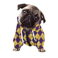 Purple And Gold Harlequin Pattern Print Dog Zip Up Hoodie