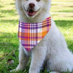 Purple And Orange Madras Plaid Print Over The Collar Dog Bandana