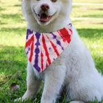 Purple And Red Spider Tie Dye Print Over The Collar Dog Bandana