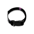 Purple And Teal Lightning Pattern Print Dog Collar