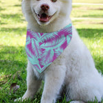 Purple And Teal Tropical Leaf Print Over The Collar Dog Bandana
