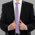 Purple And White Checkered Pattern Print Necktie