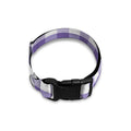 Purple And White Gingham Pattern Print Dog Collar