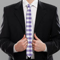 Purple And White Gingham Pattern Print Necktie