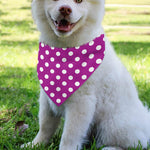 Purple And White Polka Dot Pattern Print Over The Collar Dog Bandana