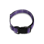 Purple And White Tattersall Print Dog Collar