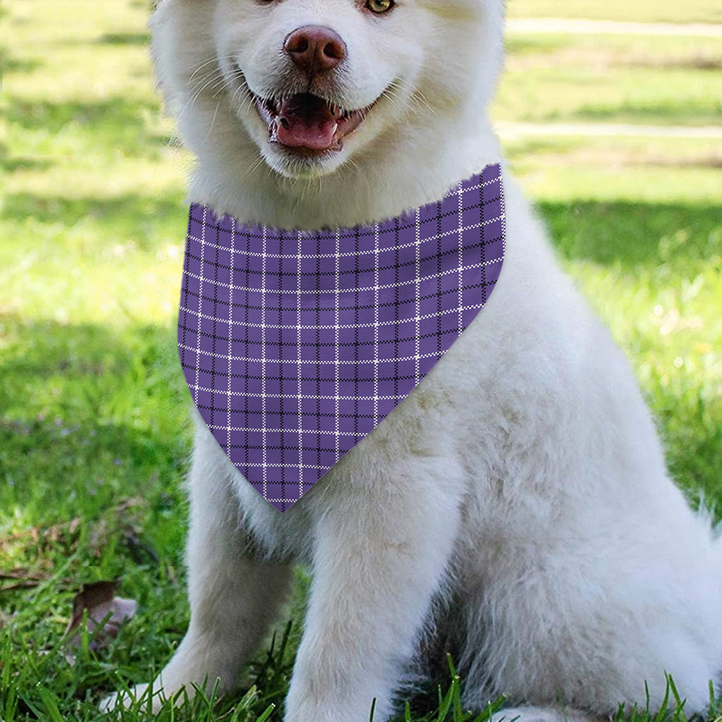 Purple And White Tattersall Print Over The Collar Dog Bandana