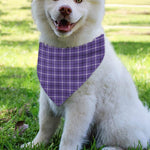 Purple And White Tattersall Print Over The Collar Dog Bandana