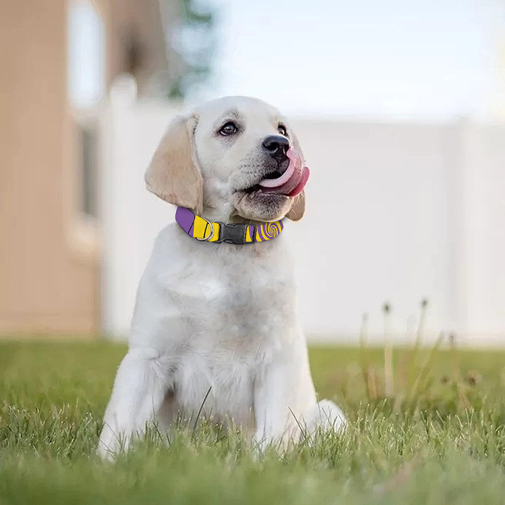 Purple And Yellow Spiral Illusion Print Dog Collar