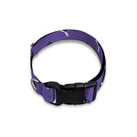Purple Boston Terrier Pattern Print Dog Collar