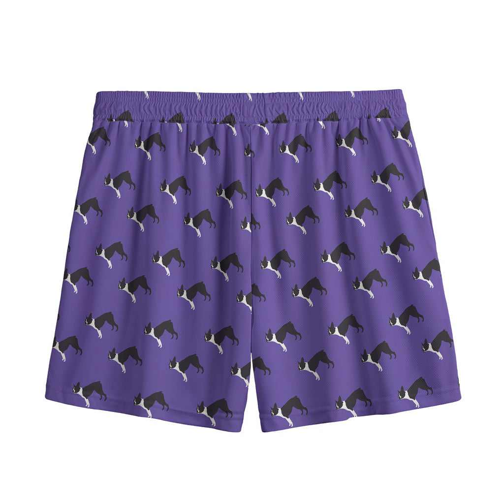 Purple Boston Terrier Pattern Print Mesh Shorts