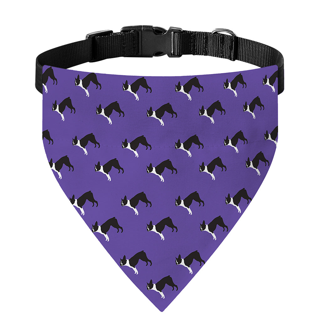 Purple Boston Terrier Pattern Print Over The Collar Dog Bandana