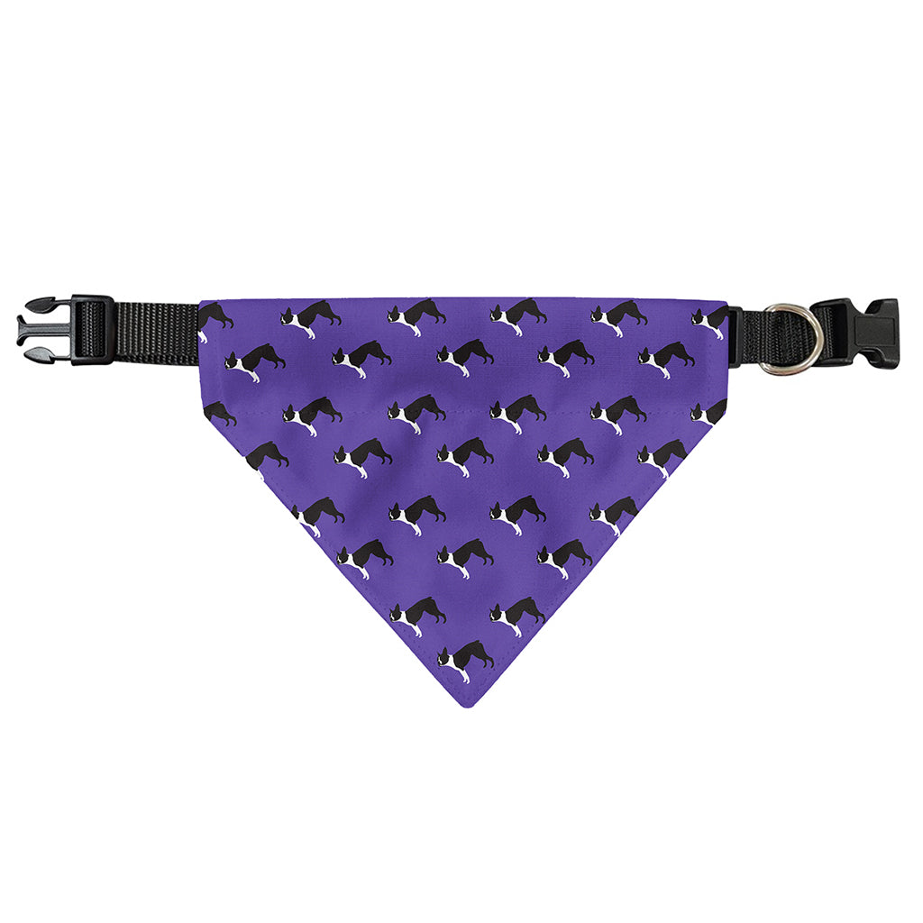 Purple Boston Terrier Pattern Print Over The Collar Dog Bandana
