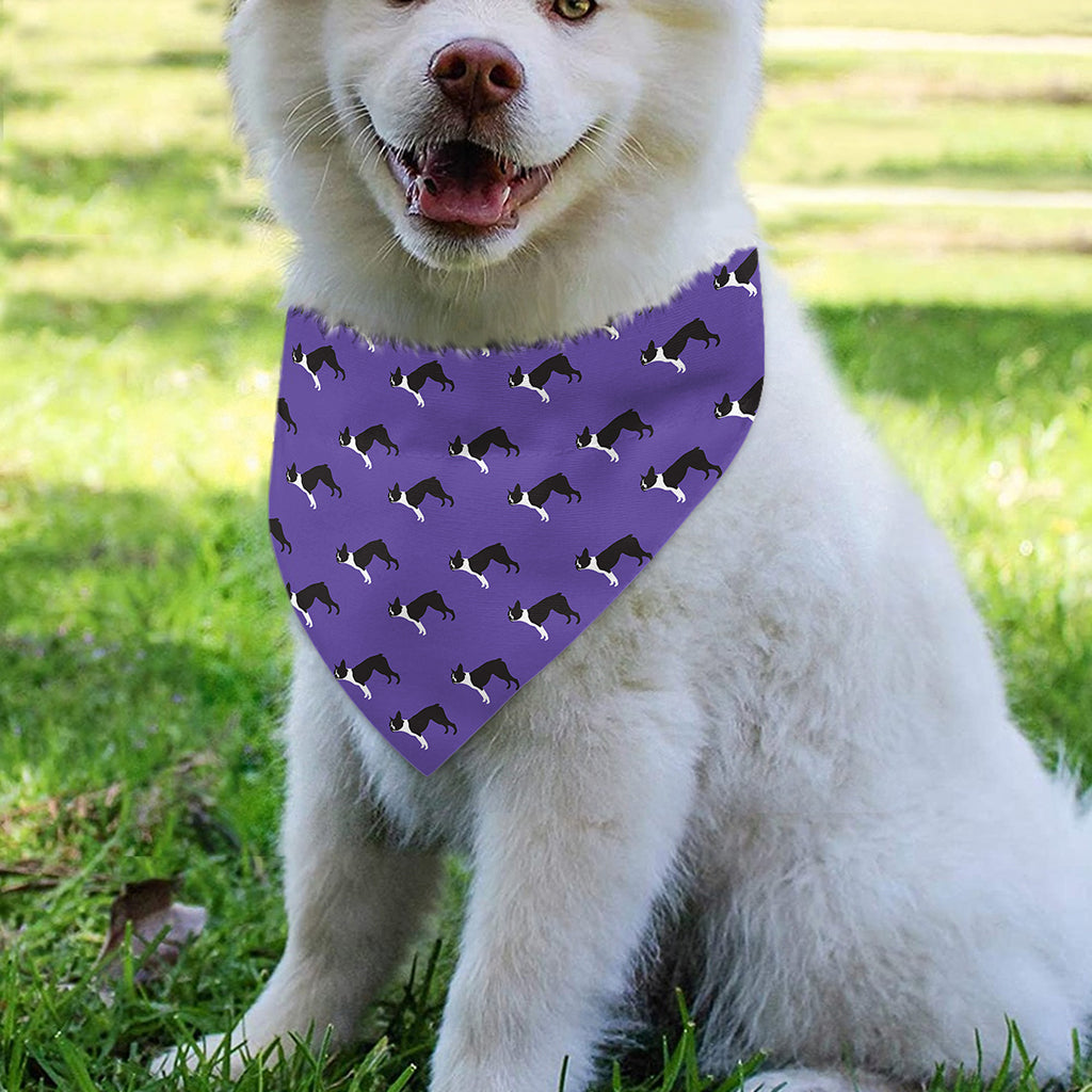 Purple Boston Terrier Pattern Print Over The Collar Dog Bandana