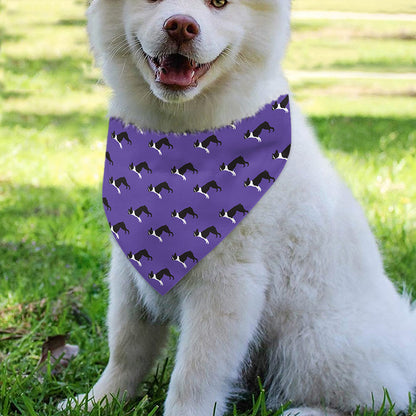 Purple Boston Terrier Pattern Print Over The Collar Dog Bandana
