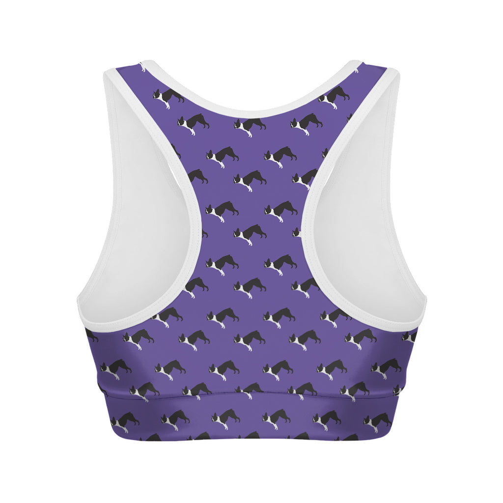 Purple Boston Terrier Pattern Print Women's Sports Bra
