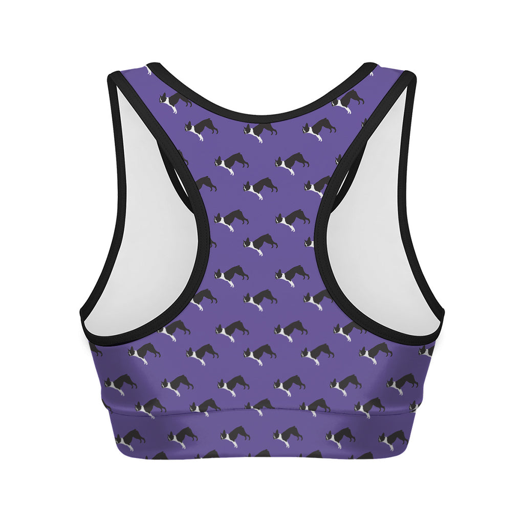 Purple Boston Terrier Pattern Print Women's Sports Bra