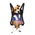 Purple Cloud Pyramid Print Pet Carrier Backpack