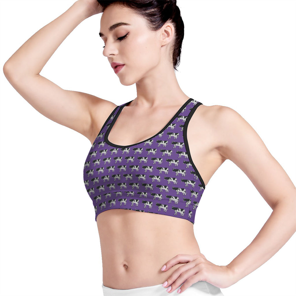 Purple Cow Pattern Print Women's Sports Bra
