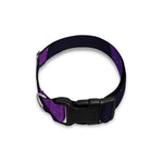 Purple Crystal Cosmic Galaxy Space Print Dog Collar