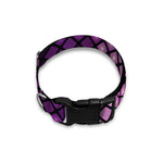 Purple Disco Lights Pattern Print Dog Collar