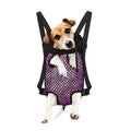 Purple Disco Lights Pattern Print Pet Carrier Backpack